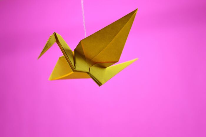 origami-2828268_1280.jpg ©pixabay