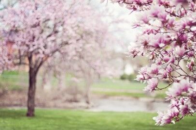 29.03.25 printemps.jpg
