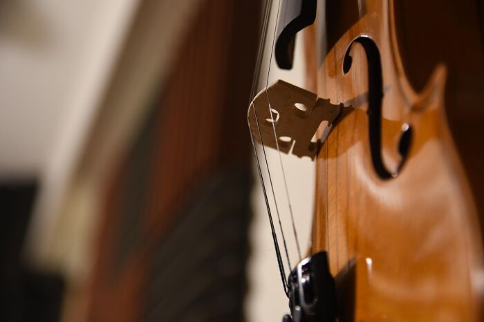 violin-5818267_1280.jpg Pixabay