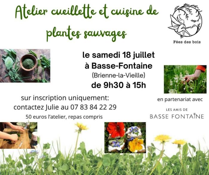 Atelier cueillette et cuisine 18 juillet (1).jpg Julie PICARD
