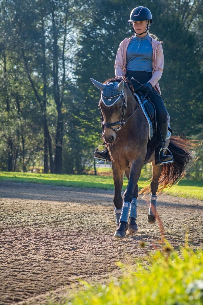 horseback-riding-6725731_1280.jpg Pixabay - Pezibear
