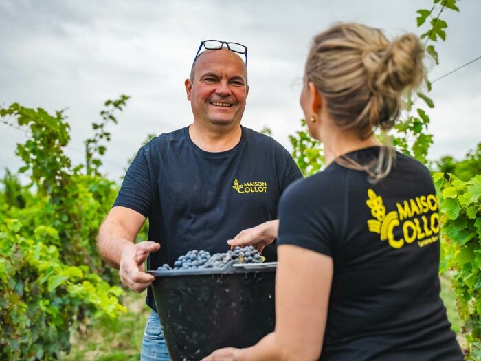 Apronie12.jpg Domaine D'Apronie