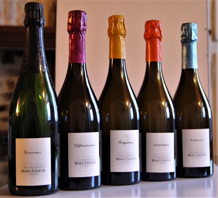 Champagne Piollot.JPG Champagne Piollot