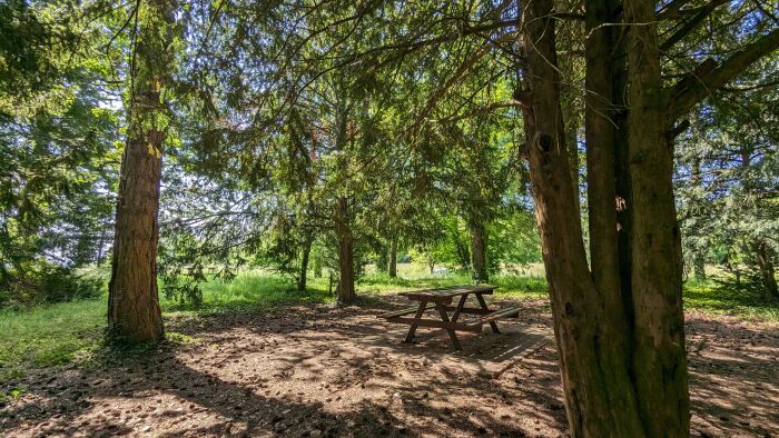 Arboretum Brienne 2023 ©A. LOISON (43).jpg OT Grands Lacs de Champagne - A. Loison