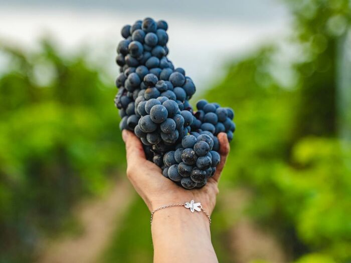 Apronie10.jpg Domaine D'Apronie