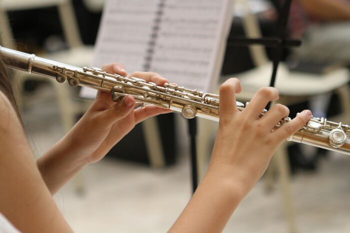 music-3090204_1280.jpg © brendageisse - Pixabay