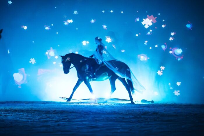Le théâtre équestre de champagne en spectacle.jpg Le Bonheur des Gens