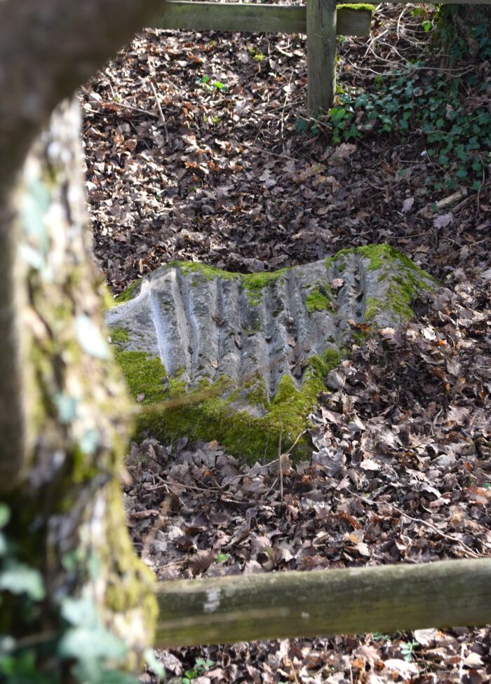 pierre10doigts.JPG Florian Daul