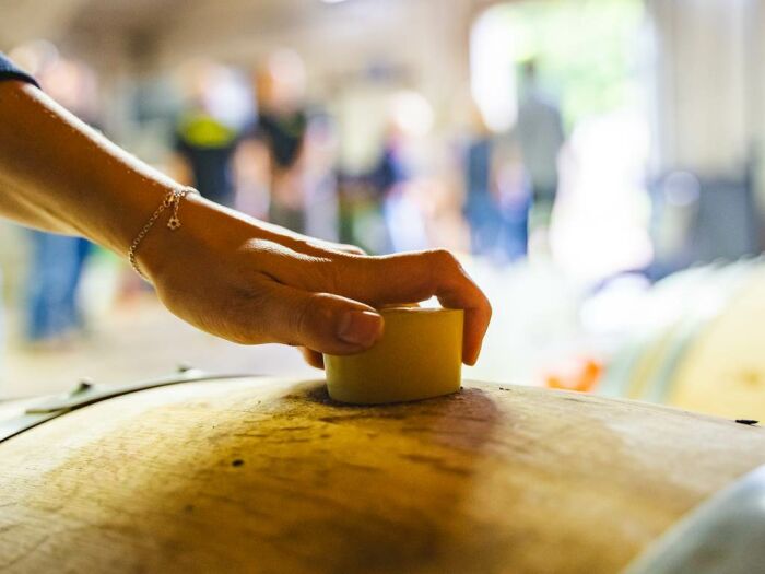 Apronie14.jpg Domaine D'Apronie