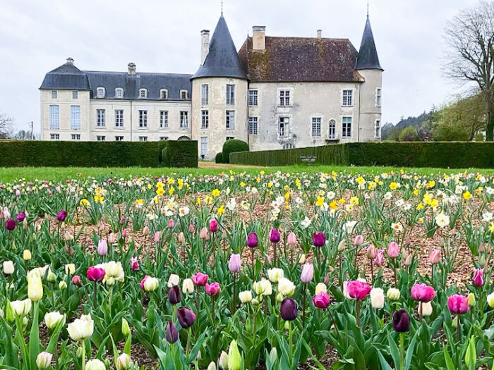 Château de Ricey-Bas.JPG Château de Ricey-Bas