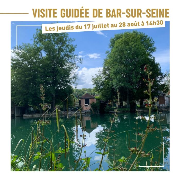 Visite Bar-sur-Seine.jpg OT CDB