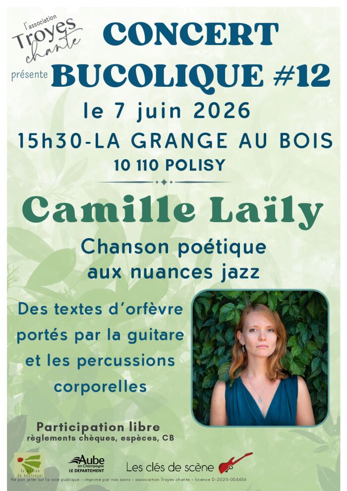 concert.jpg troyes chante