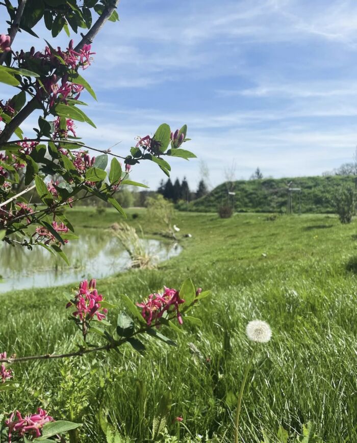 bassin.jpg Champagne Walczak Pascal