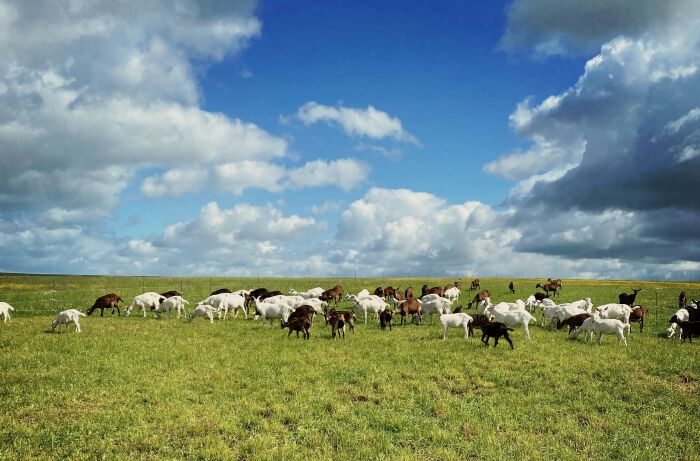 Ferme des Damoiselles.JPG CP Ferme des Damoiselles