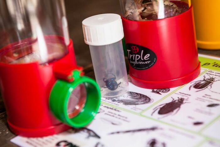 Animations enfants.jpg PnrFO