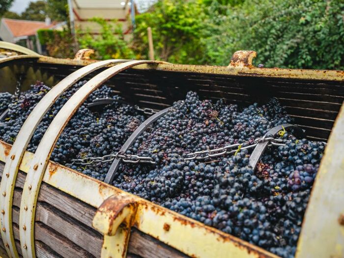 Apronie13.jpg Domaine D'Apronie