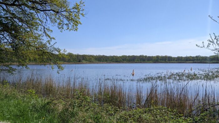 2022 Avril - Etang de Ramerupt, réserve naturelle natonale © OTGLC - AL (43) - Copie.jpg OT Grands Lacs de Champagne - A. Loison
