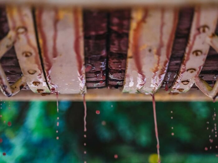 Apronie3.jpg Domaine D'Apronie