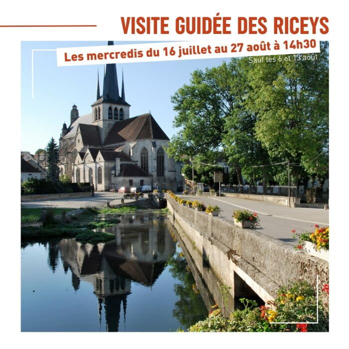 Visite des riceys.jpg OT CDB