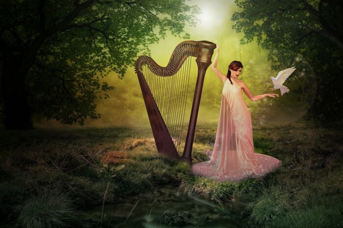 harp-3081890_1280.jpg pixabay
