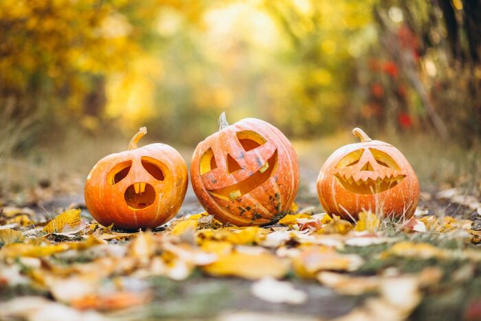 halloween_PIXABAY.jpg l'Espace Odysselec EDF de Nogent-sur-Seine