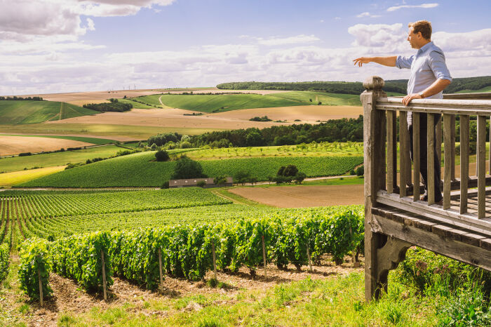 Champagne Edouard Duval.jpg Champagne Edouard Duval