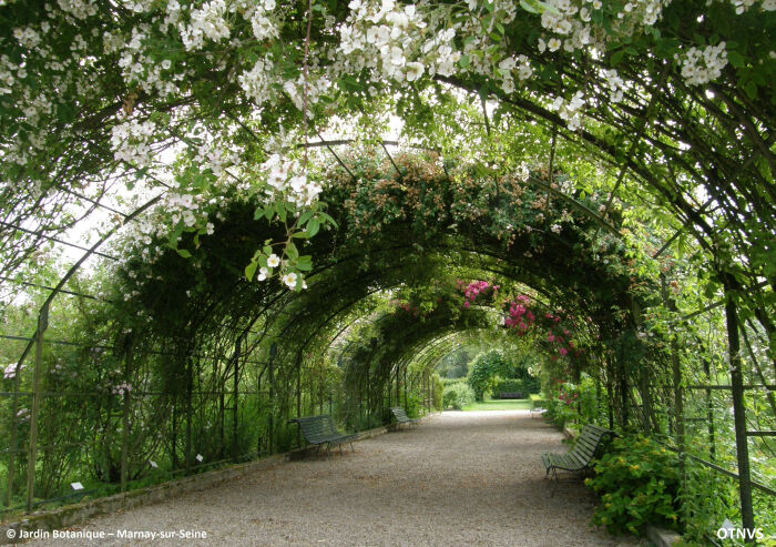 Grande_roseraie_-_Copie (1).JPG © Jardin Botanique Marnay