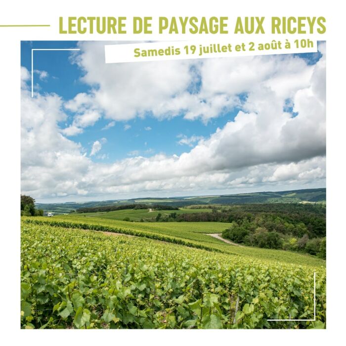 Lecture de Paysage.jpg OT CDB