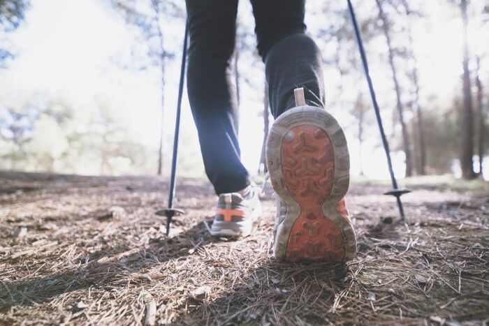 crop-legs-walking-forest.jpg Freepik