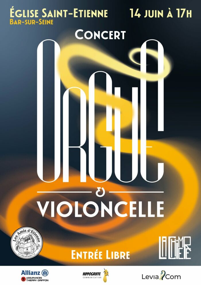 concert bss.jpg les amis d'etienne