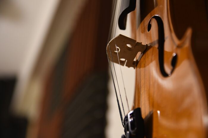 violin-5818267_1280.jpg © MAGstd- Pixabay