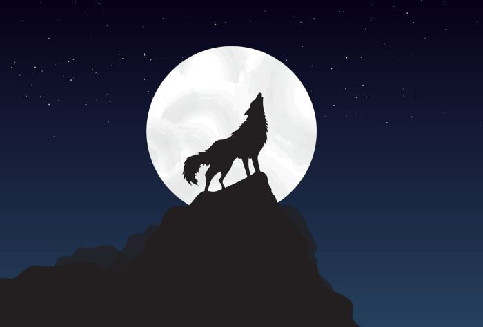 loup.jpg pixabay