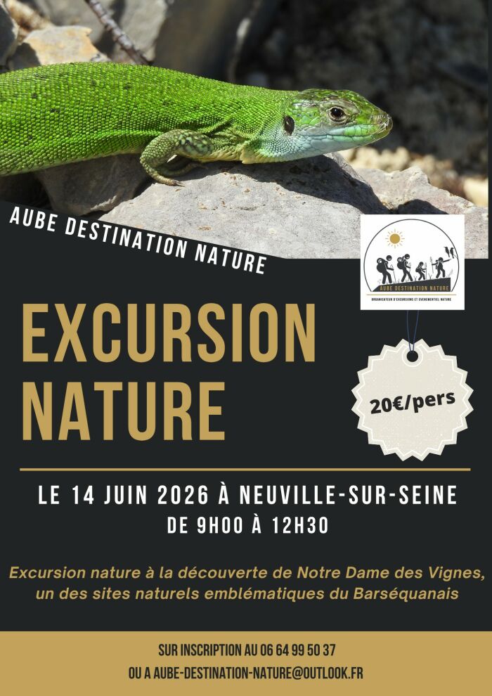 excursion nature.jpg aube destination nature