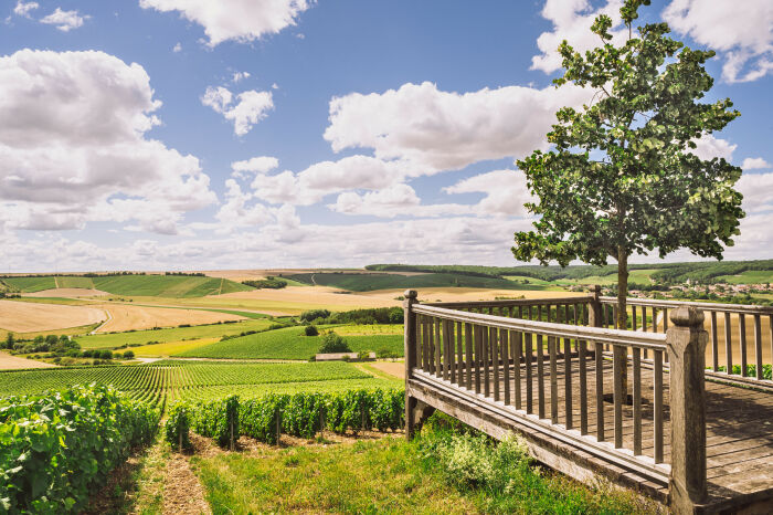 Champagne Edouard Duval.jpg Champagne Edouard Duval