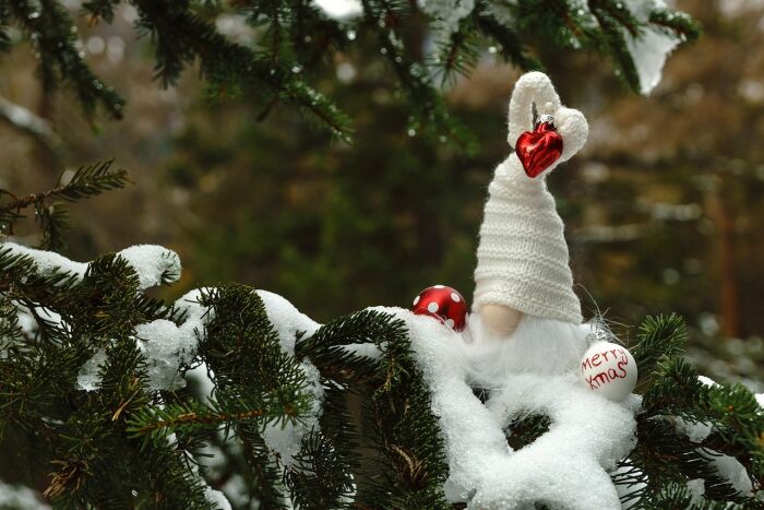 christmas-elf-7615034_1280.jpg Pixabay