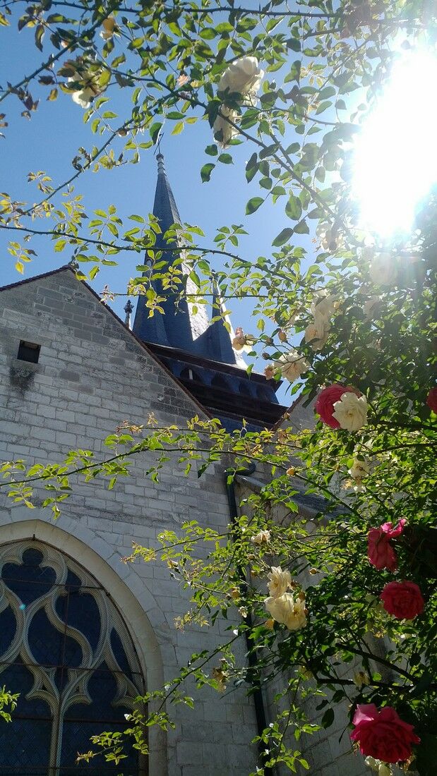 Le jardin de l'église