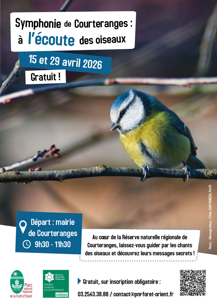 Symphonie de Courteranges : à l’écoute des oiseaux_Courteranges ©Théo JEAN-FRANÇOIS, PnrFO