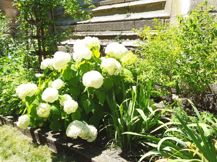 Jardin des Innocents © AL - Troyes La Champagne Tourisme