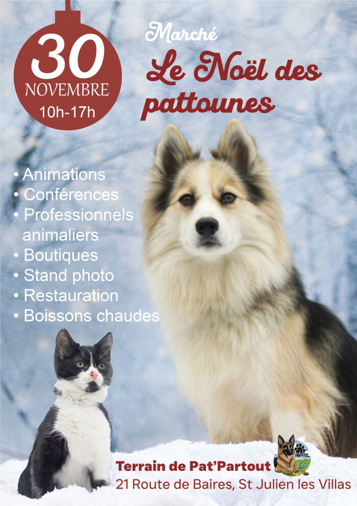Affiche noël de spattounes violaine Pinto-Monteiro