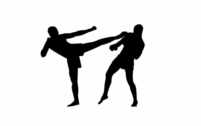 BOXE - TLCT.JPG TLCT