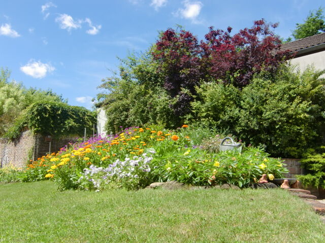 jardin.JPG François Chabroux