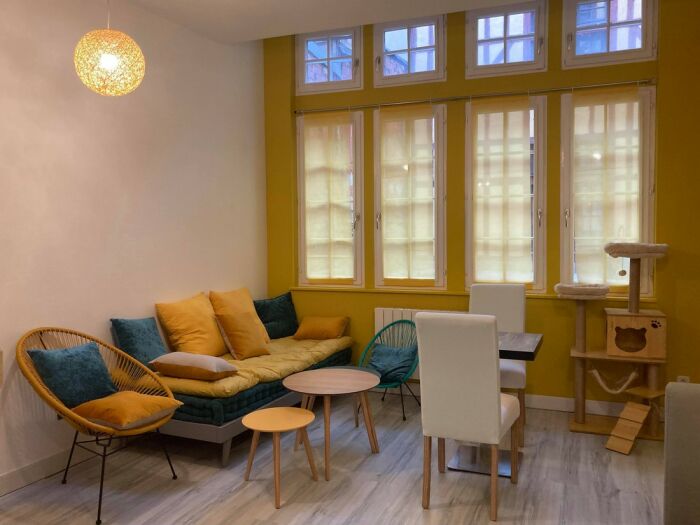 Troyes petits chats espace cocooning.jpg ©Troyes Petits Chats
