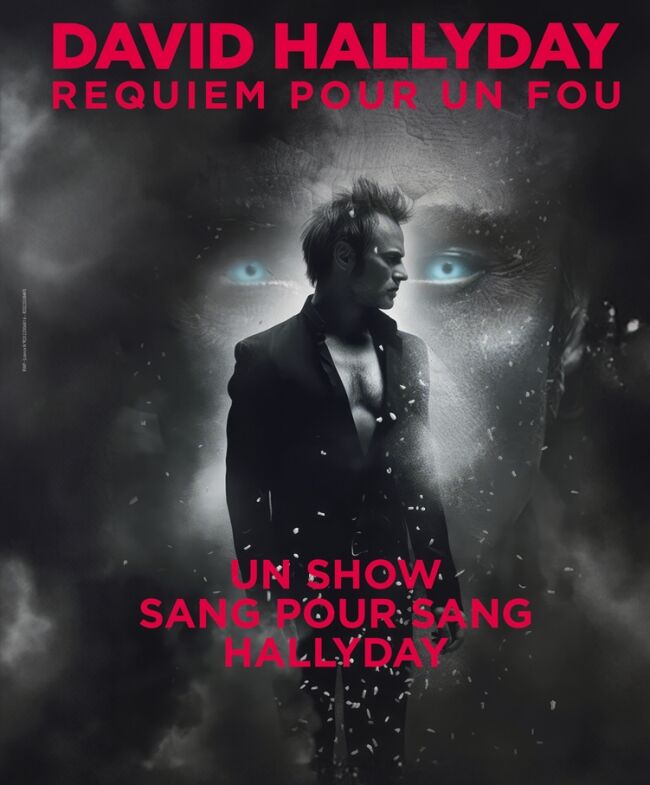 David Hallyday - Requiem pour un fou_Troyes Richard Walter Productions