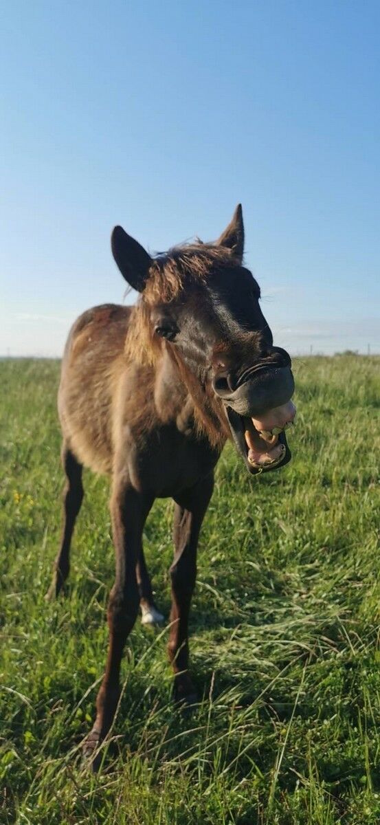 IMG_2900.JPG Clara Gouin - Troyes La Champgne Tourisme