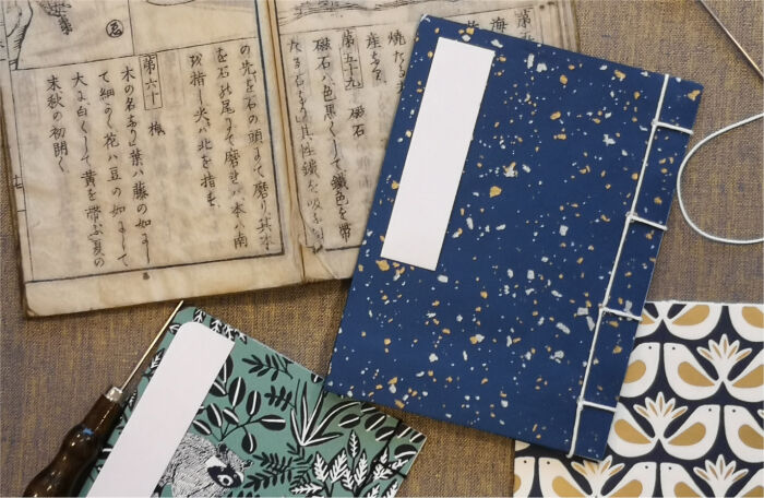visuel carnet Maelo Illustration