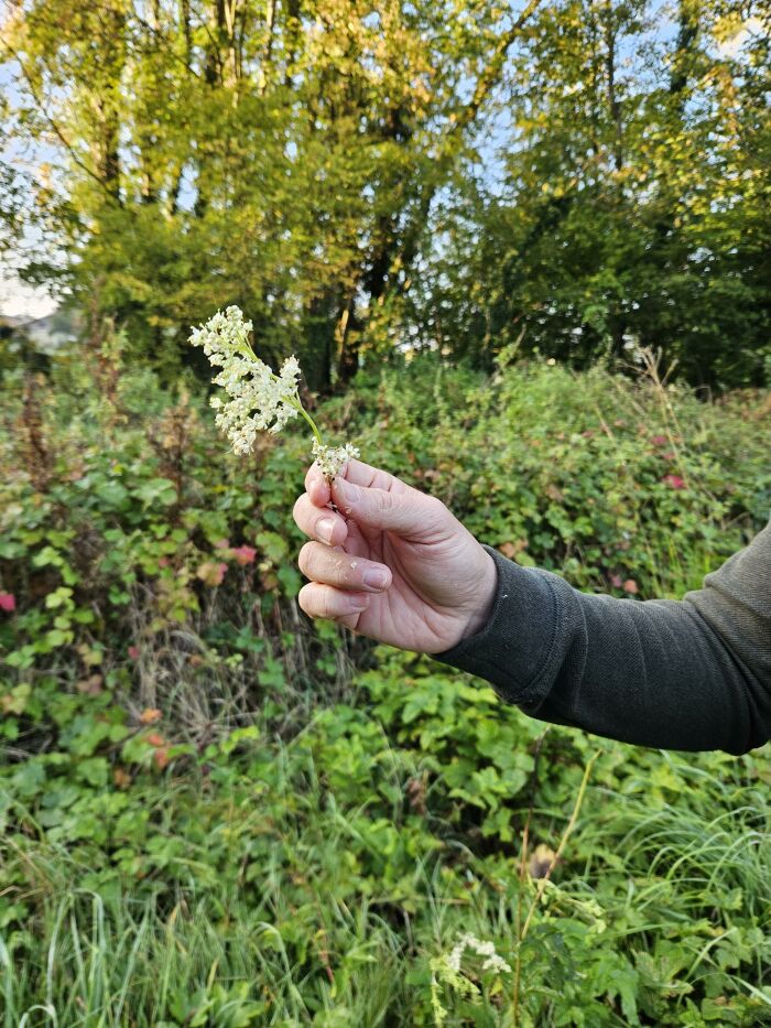 Randonnée troyenne_Troyes © SM - Troyes La Champagne Tourisme