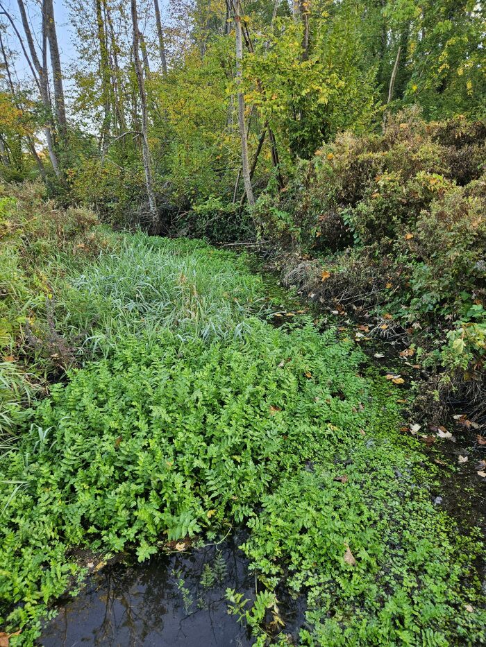 Randonnée troyenne_Troyes © SM - Troyes La Champagne Tourisme