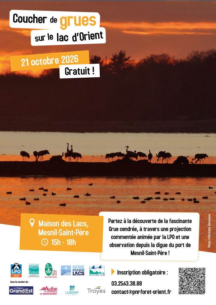 Coucher de grues sur le lac d’Orient_Mesnil-Saint-Père ©Christine Tomasson