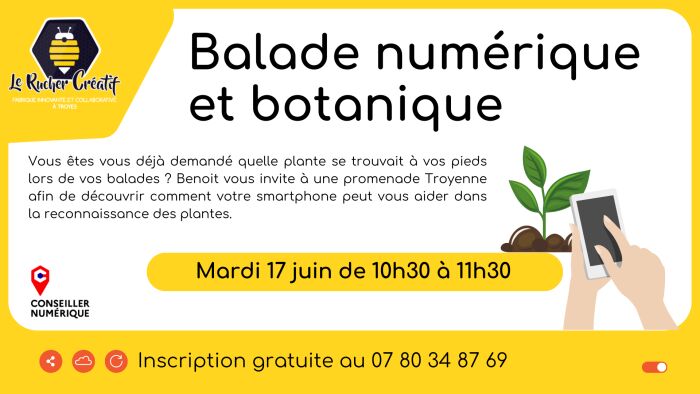 visuel balade botanique Le Rucher Créatif