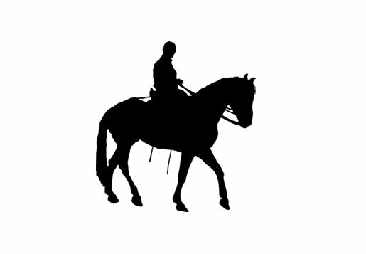 EQUITATION - TLCT.JPG TLCT